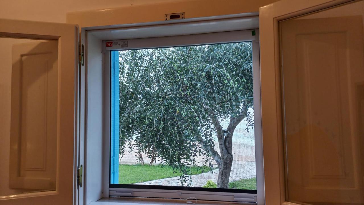 Villino Tronchetto Bianco Bed & Breakfast Мола ди Бари Екстериор снимка
