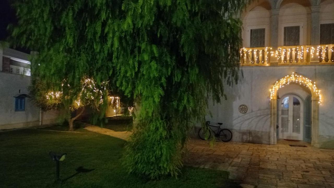 Villino Tronchetto Bianco Bed & Breakfast Мола ди Бари Екстериор снимка