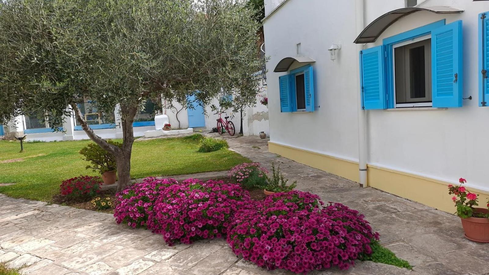 Villino Tronchetto Bianco Bed & Breakfast Мола ди Бари Екстериор снимка