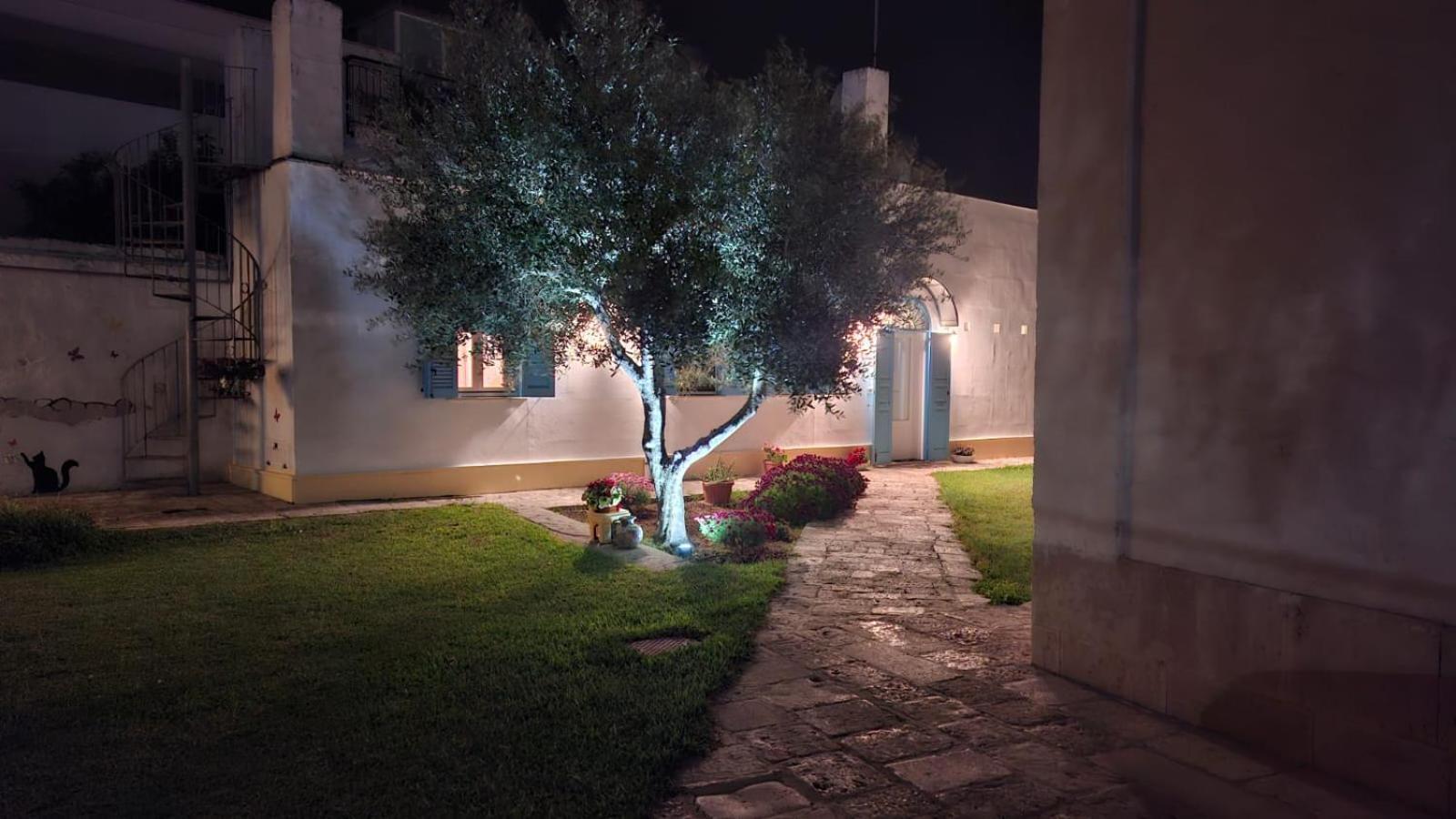 Villino Tronchetto Bianco Bed & Breakfast Мола ди Бари Екстериор снимка